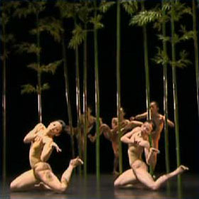 Bamboo Dream - Cloud Gate Dance Theatre of Taiwan