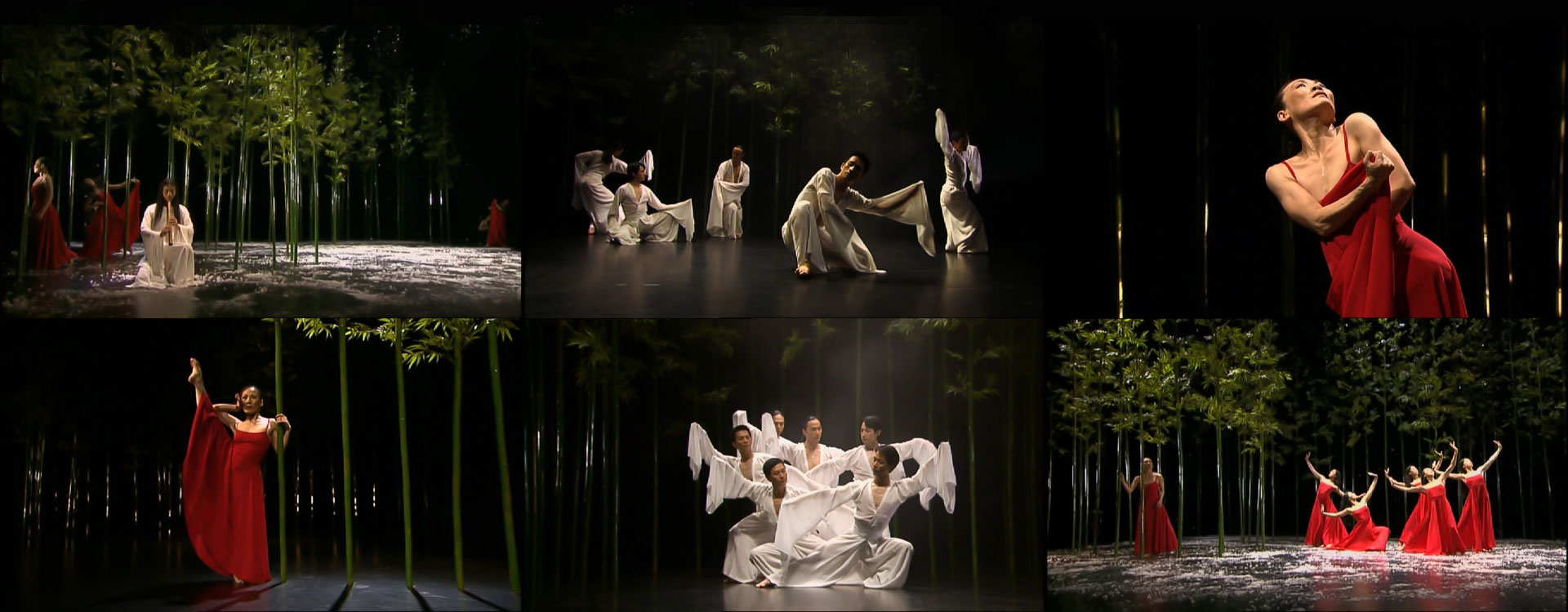 Bamboo Dream - Cloud Gate Dance Theatre of Taiwan