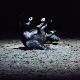 Bartabas Mozart Requiem - Horse Dressage
