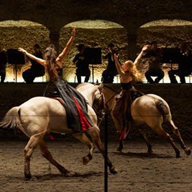 Davide Penitente - Horse Dressage by Bartabas