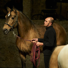 Davide Penitente - Horse Dressage by Bartabas
