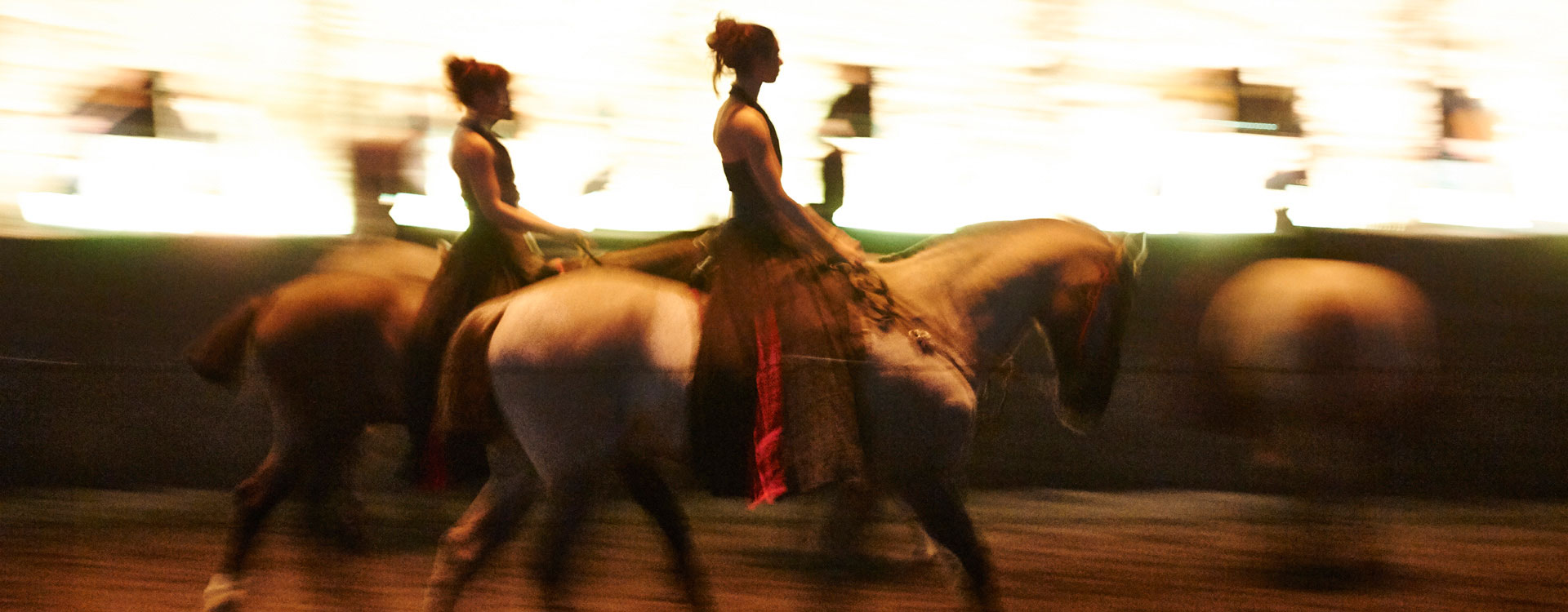Davide Penitente - Horse Dressage by Bartabas