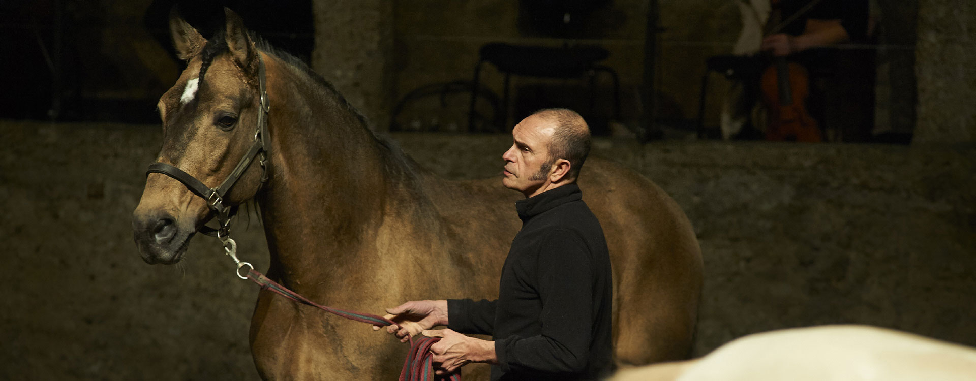 Davide Penitente - Horse Dressage by Bartabas