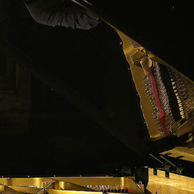 Kit Armstrong - Plays Wagner and Liszt