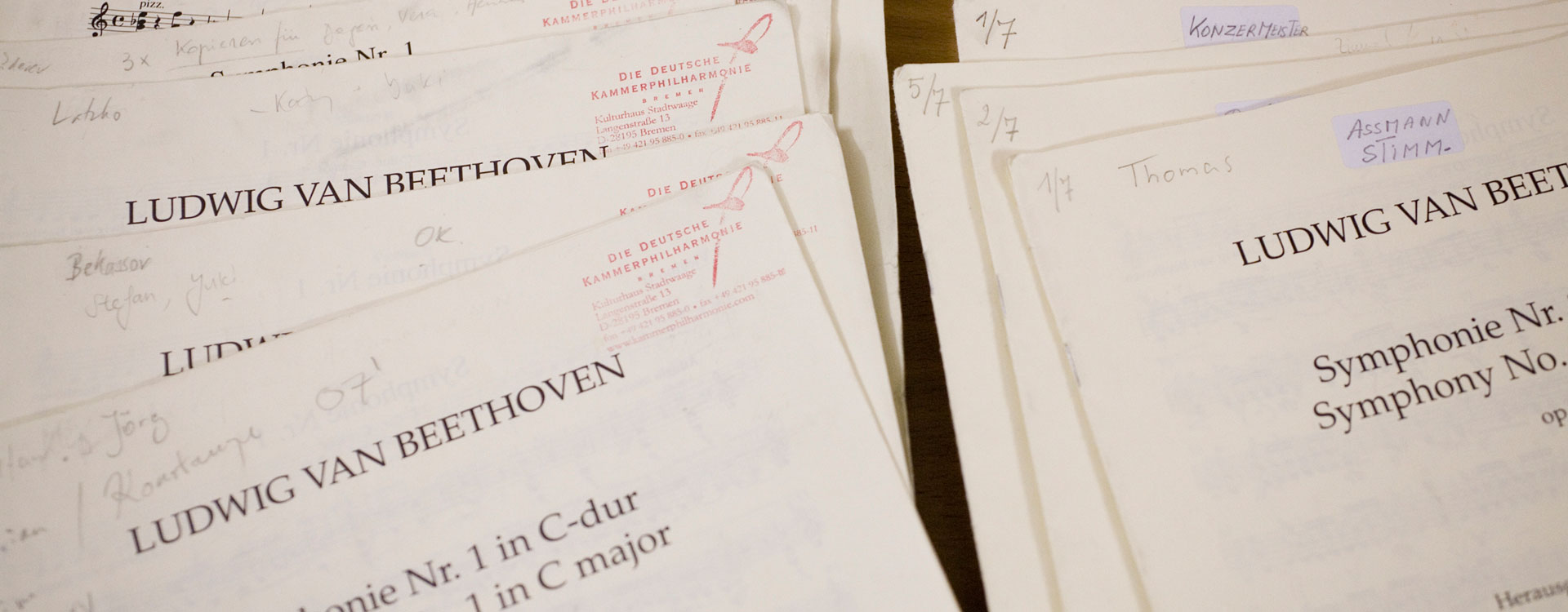 The Beethoven Project