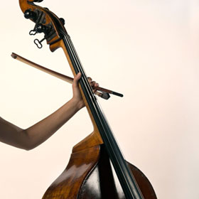 The Brahms Code