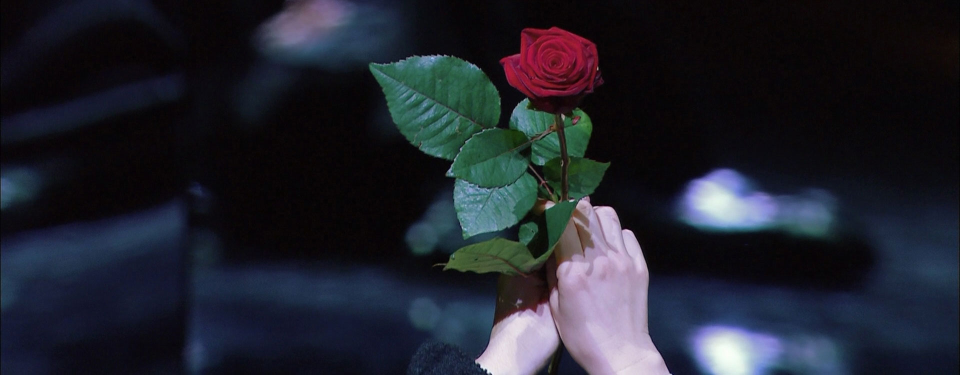Der Rosenkavalier