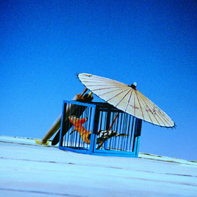 L'Upupa - The Hoopoe and the Triumph of Filial Love