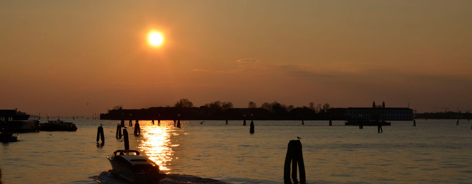 Donna Leon’s Venice - A Musical Walk